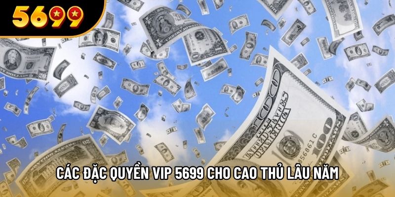 Các đặc quyền vip 5699 cho cao thủ lâu năm